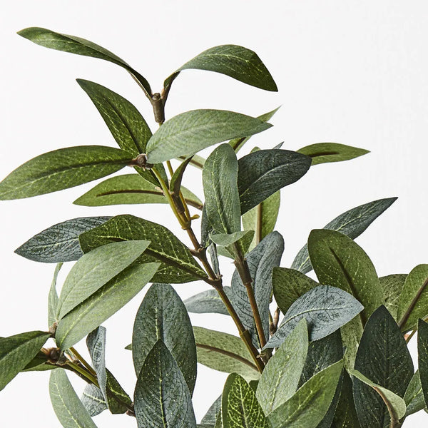 Olive Leaf Pick – Earthy Green (40 cm)