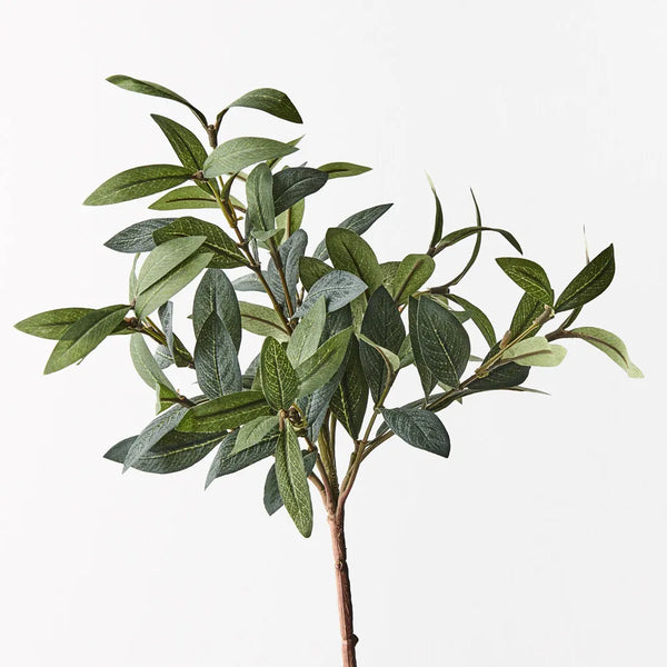 Olive Leaf Pick – Earthy Green (40 cm)