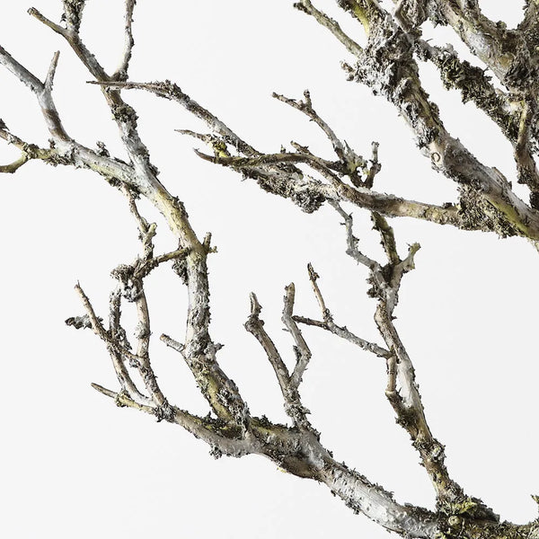 Twig Coral Branch – Earthy Decor Accent (58 cm)