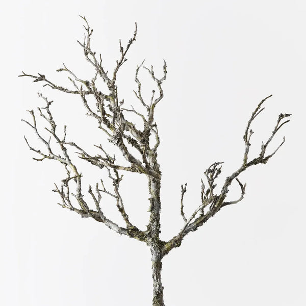 Twig Coral Branch – Earthy Decor Accent (58 cm)